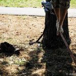 Première activité de la session avec l’UQT’Air: L’indémodable slackline remporte un franc succès