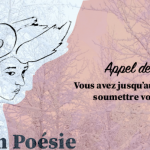 Slam Poésie Trois-Rivières lance l’appel pour un zine