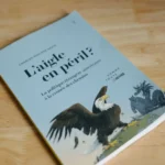 L’aigle en péril : réflexion sur le leadership américain à l’ère Biden L'aigle en péril