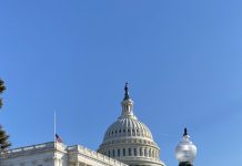 Carnet d’une globe-trotteuse : Washington, la belle oubliée…