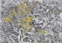 Les perfides banalités: Une exposition à la fois délicate et bouleversante