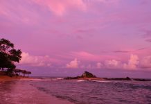 Carnet d’une globe-trotteuse : Au revoir, Sri Lanka (6)