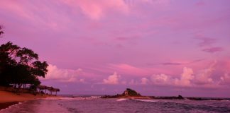 Carnet d’une globe-trotteuse : Au revoir, Sri Lanka (6)