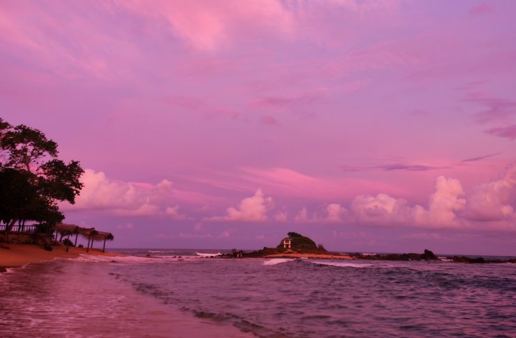 Carnet d’une globe-trotteuse : Au revoir, Sri Lanka (6)